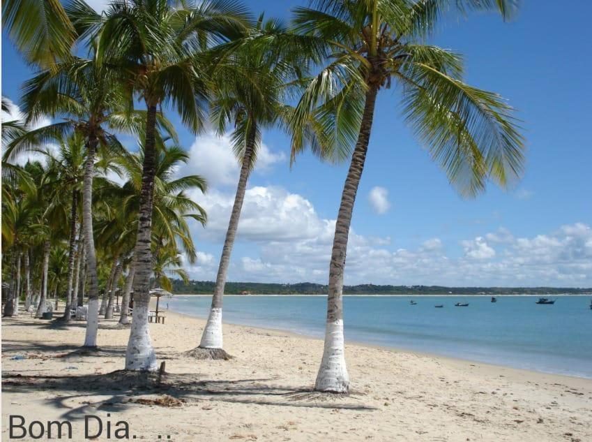 Praia Dos Corais Apt 24 Coroa Vermelha Экстерьер фото